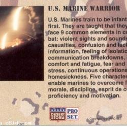 US Marine Warrior